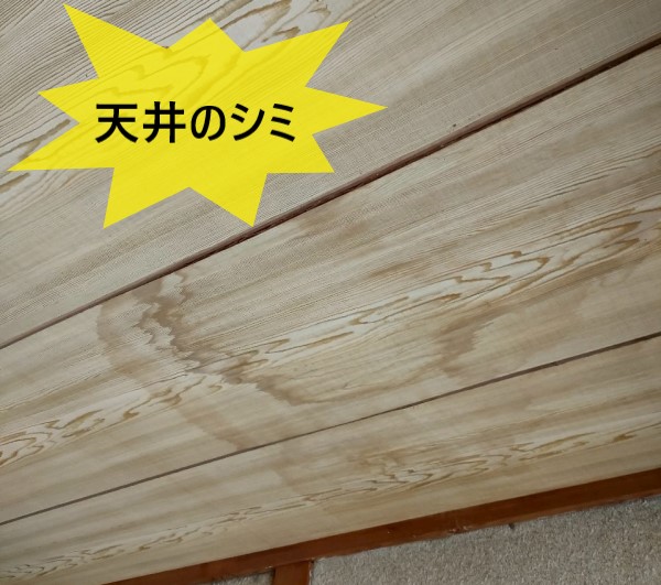 山鹿市にて天井にできたシミは雨漏りか小動物？瓦の下にはコウモリの糞も！雨樋の点検も行いました